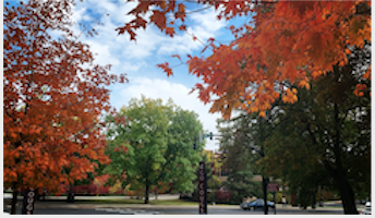 Photo of Washington State University's campus in the fall.
