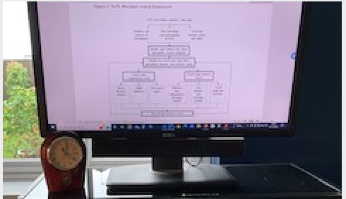 Computer screen featuring diagram on SoTL literature review.