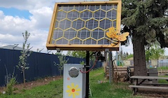 A student's capstone project showing a beehive contraption in a backyard garden.