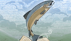 An illustration of a salmon rising out of the open pages of a book.